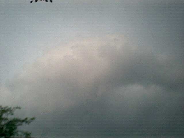 Pic03