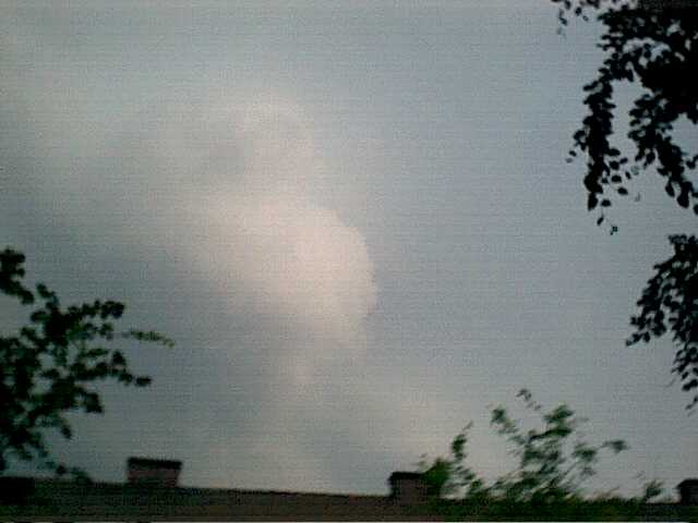Pic05
