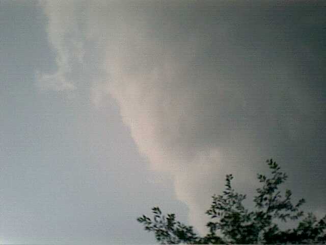 Pic07